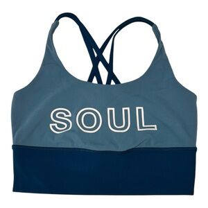lululemon athletica Blue Sports Bra